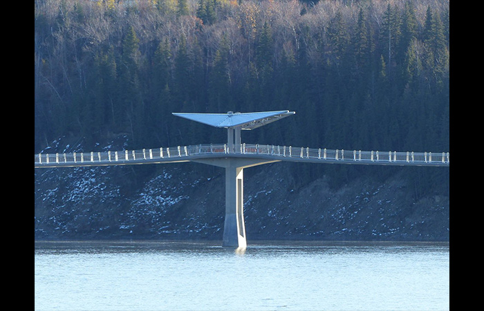 Terwillegar Park Footbridge